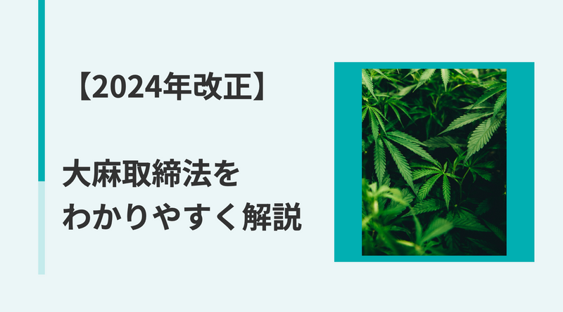 【2024年改正】大麻取締法の内容をわかりやすく解説！いつから施行？