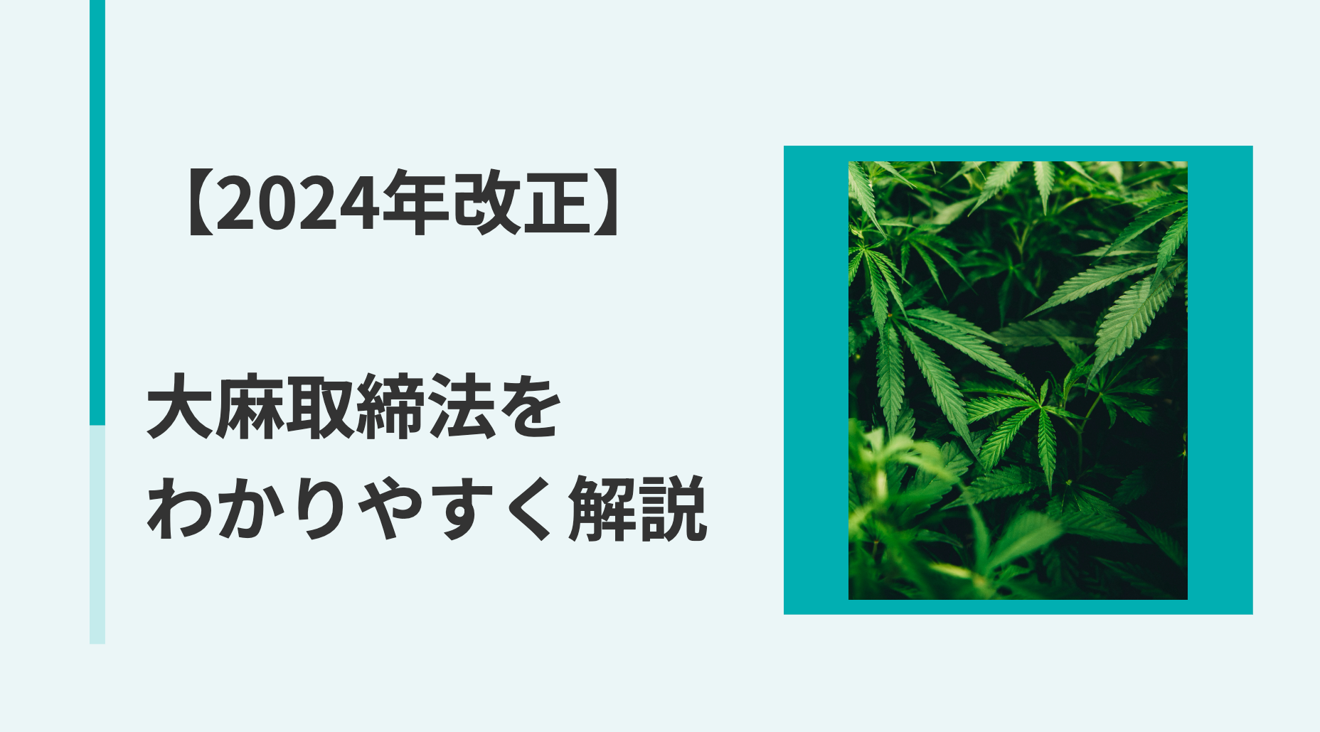 2024年改正】大麻取締法の内容をわかりやすく解説！いつから施行